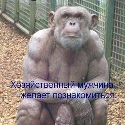 ���� ����, ������-��-����, 62 ���� - ��������� 17 �������� 2017
