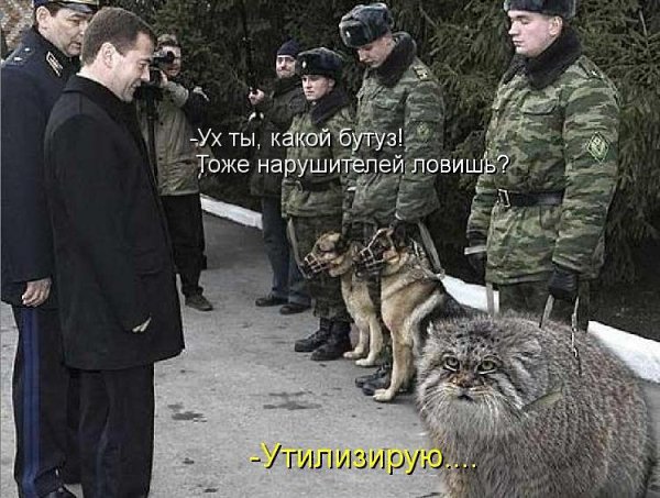 Ну, а теперь, чтобы Вы улыбнулись. На границе КТО там ходит хмуро? Вечный бой, покой нам только ... - 13
