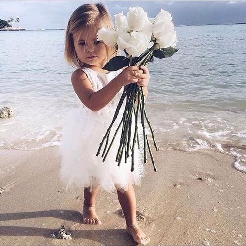  , , ,    -   !   ,   ,   ...