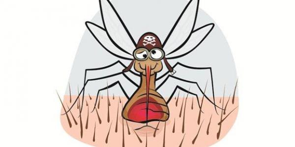    :      ,  ,   ,  ...