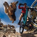 ���� ������, ������, 45 ��� - ��������� 2 ���� 2017 � ������ ���� ����������