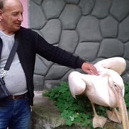 ��������, , �����������