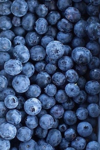    - 25  2017  20:36 - 6