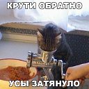���� ���������, ����������� - ��������� 17 ��� 2017 � ������ �������� ��������
