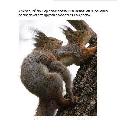     - 9  2017  12:16