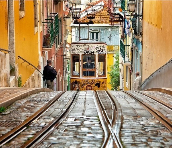  :  ,   ,     ,  , ... - 3