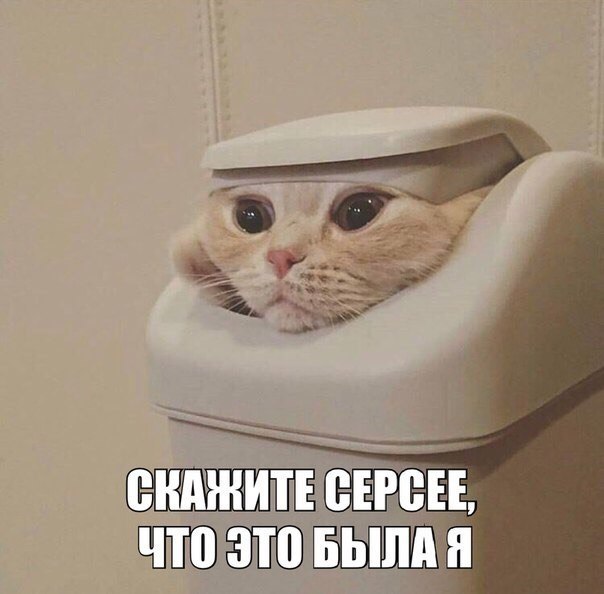    - 8  2017  12:25