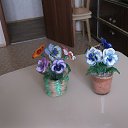 ���� ��������, �����-���������, 67 ��� - ��������� 4 ��� 2017 � ������ ���� ����������