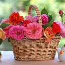 ���� Lana, ����� - ��������� 15 ���� 2017 � ������ ������ ��������