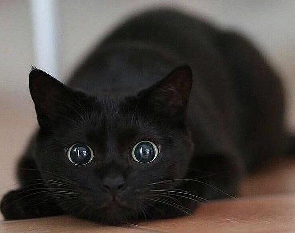   !