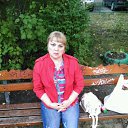 ���� �������, ���������������, 67 ��� - ��������� 26 ������� 2017 � ������ ���� ����������