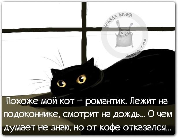   - 1  2017  06:17