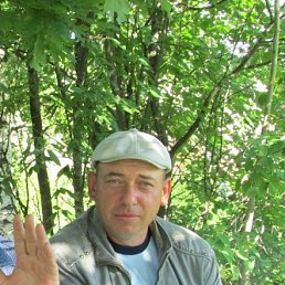 ������, �������, 55 ���