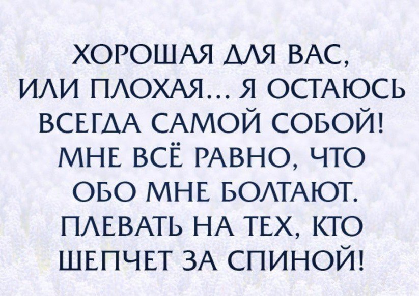    - 23  2017  02:24