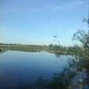 ���� ����, ������, 56 ��� - ��������� 28 ��� 2017 � ������ ���� ����������