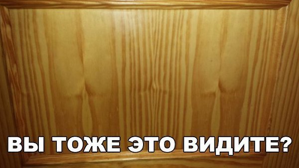    :D - 19  2017  10:30