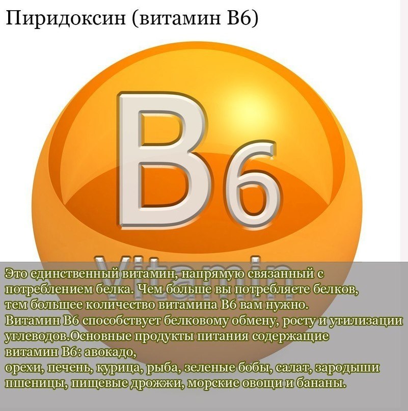  10  ,        .   .   ... - 9