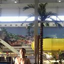 ���� ���������, ����, 40 ��� - ��������� 4 �������� 2017 � ������ ���� ����������