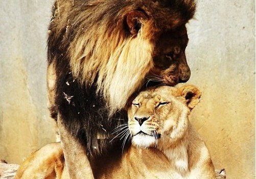 Для мужчины очень важно чтобы рядом был человек который в него искренне верит.