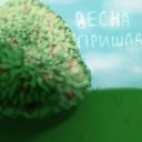 ���� Nicol, ������ - ��������� 13 ������ 2017 � ������ �������,��������,�����