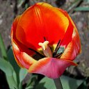 ��� 2017 �� ������� ���� ����������� (!) ��������)�