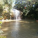 ���� �������, �������, 50 ��� - ��������� 2 �������� 2017 � ������ ��������