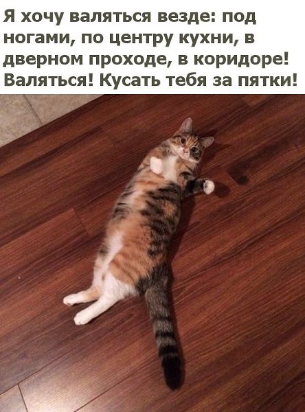       - 15  2017  03:27