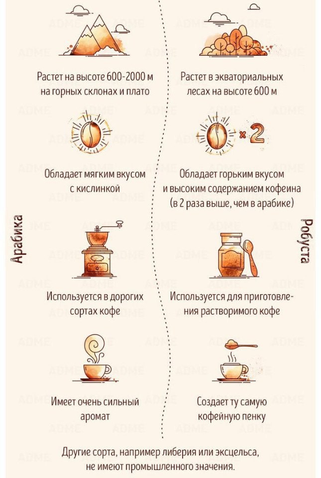    ? #@bon - 2