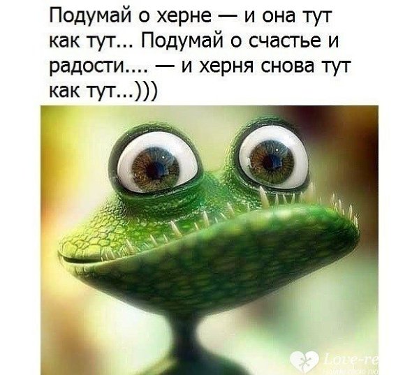 ©: Опишите вашу жизнь. - Материться можно? - Нет. - Тогда все хорошо. ... #лучшаятема9