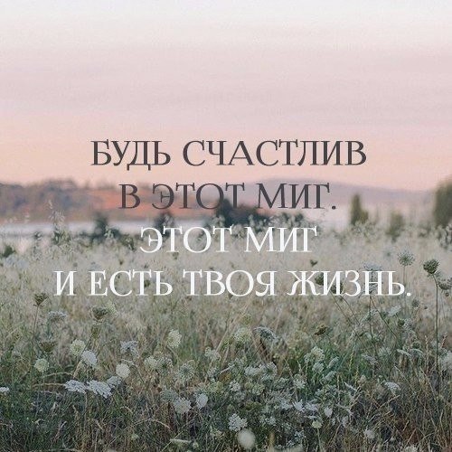   . . . - 11  2017  07:08