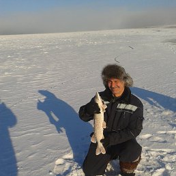 �����, �����������-��-�����, 54 ����