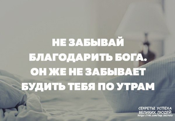     - 7  2017  13:06