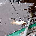 ���� ������, ������, 38 ��� - ��������� 19 �������� 2017 � ������ ���� ����������