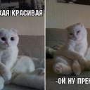 ���� Igor, �����������, 54 ���� - ��������� 14 ��� 2017 � ������ ������Ż