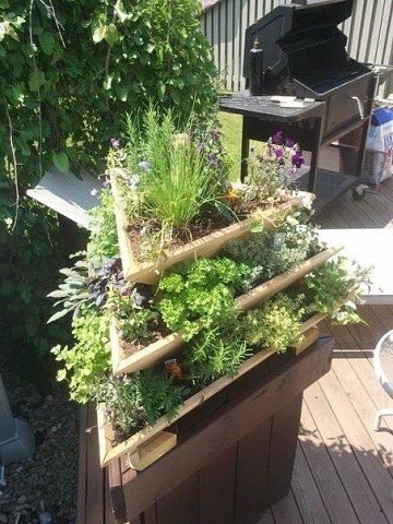 ���� ��� ���� - 6