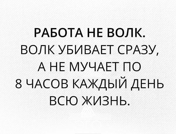 | ,  - 6  2017  04:33