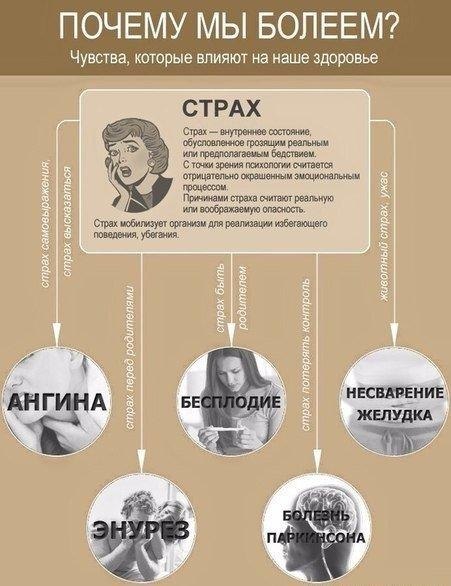 Психосоматика или чувства, которые влияют на наше здоровье: #полезное@rules4life - 3