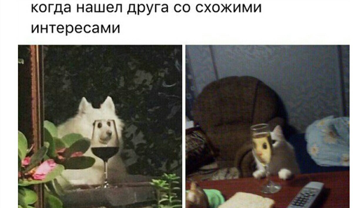   ... - 16  2017  08:27
