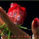 ���� ���������� �� ������, ������ - ��������� 21 �������� 2017 � ������ �������� 21�������� � ����� ���� ���� �������� 5��һ