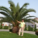  Nina, -, 74  -  6  2017    