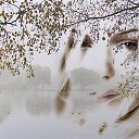 ���� ������, ����������, 51 ��� - ��������� 19 ���� 2017 � ������ ������ ��������