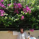  , , 59  -  13  2017   Mobile Uploads