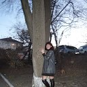 ���� �����, �����������, 41 ��� - ��������� 7 ���� 2017 � ������ ���� ����������