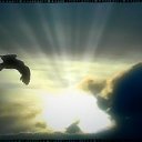 ���� ���������, ������, 41 ��� - ��������� 4 ���� 2017 � ������ ���� ����������