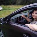 ���� ����, �����������, 49 ��� - ��������� 22 ������� 2017 � ������ ���� ����������