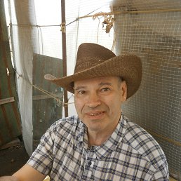 Alexander, ���������, 67 ���