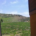 ������, 2017. ��� � ������� �� ������� �����