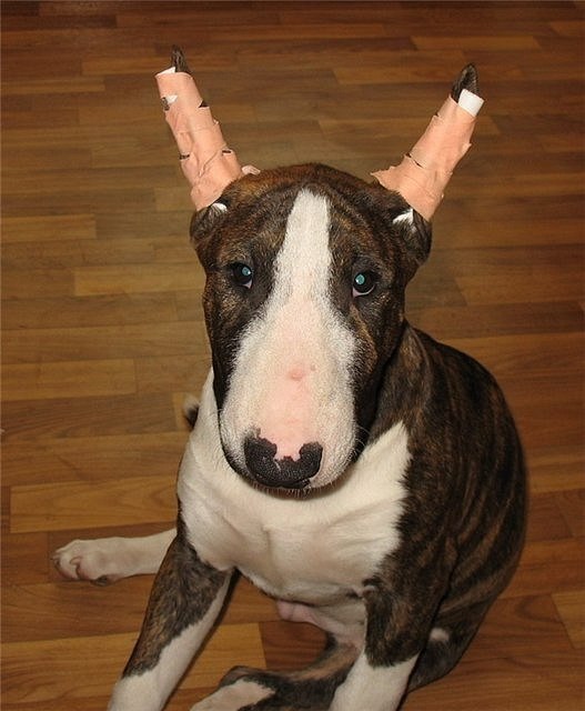 Добрый день всем жителям Буле-Городка ))).Для новых участников группы и для всех кто ищет полезную ...