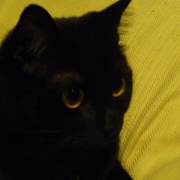 ����, �����, 23 ����