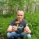  ,  , 49  -  22  2017